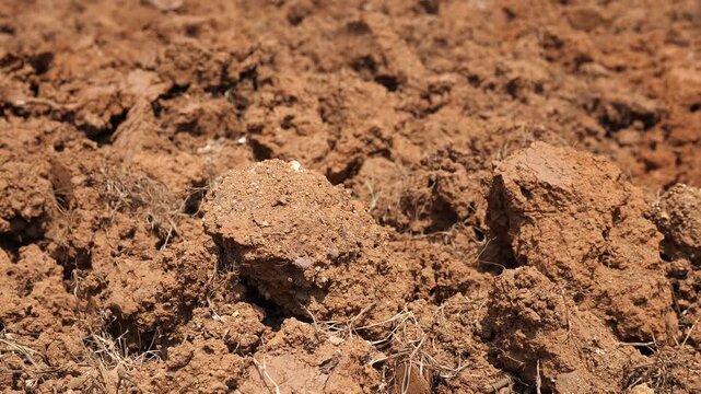Close-up of dry plowed soil clods in an agricultural field, land preparation for farming and agriculture concept