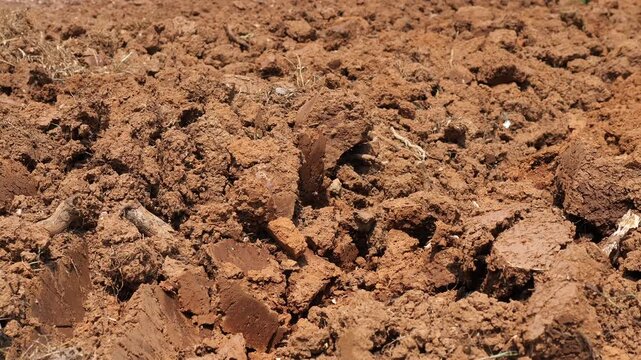 Close-up of dry plowed soil clods in an agricultural field, land preparation for farming and agriculture concept