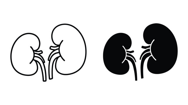 Healthy and damaged human kidneys comparison illustration