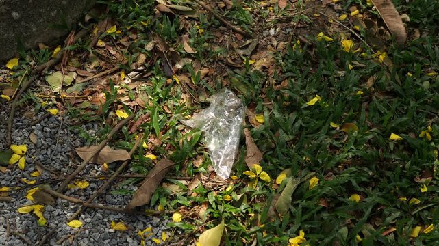 Close-up of a clear plastic bag littered on green grass with dry leaves, environmental pollution and single-use plastic waste concept