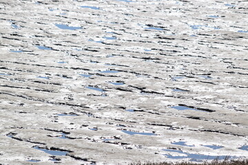 Strandszenen auf der Nordseeinsel Römö April 2026 © plopart