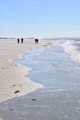 Strandszenen auf der Nordseeinsel Römö April 2026 © plopart
