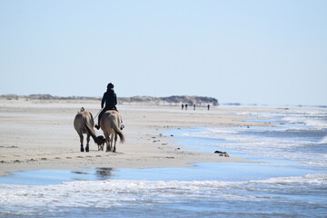 Strandszenen auf der Nordseeinsel Römö April 2026 © plopart