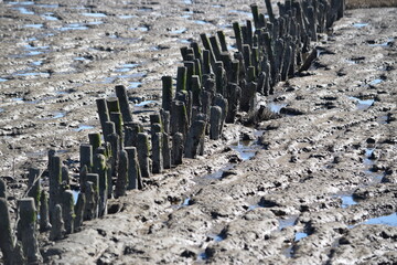 Strandszenen auf der Nordseeinsel Römö April 2026 © plopart