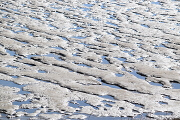 Strandszenen auf der Nordseeinsel Römö April 2026 © plopart