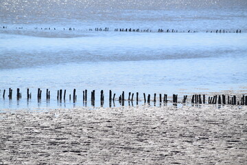 Strandszenen auf der Nordseeinsel Römö April 2026 © plopart