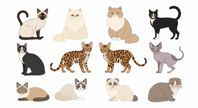 Variety of cartoon cats in different breeds and poses