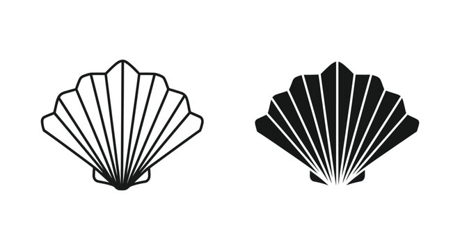 Stylized seashell ocean marine animal mollusk vector illustration