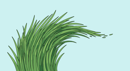 Green grass blowing in the wind, abstract illustration on blue background © Tora