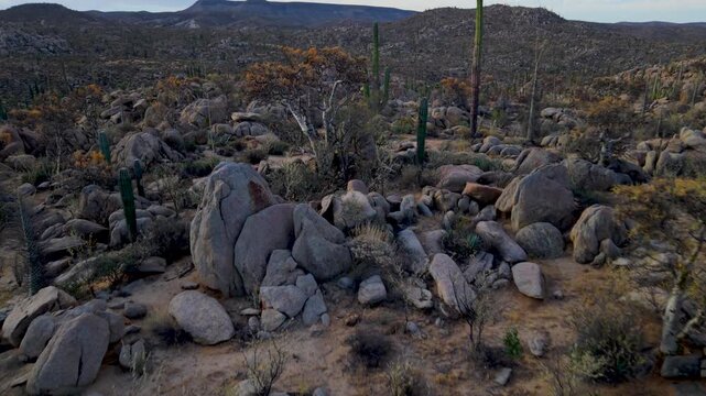 Watch sunrise unfold over Catavina, revealing cacti, elephant trees, and blue palms in a desert oasis in Baja California, Mexico.