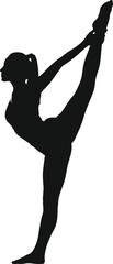 Ballerina in elegant pose, silhouette of graceful dancer. © Sadhin
