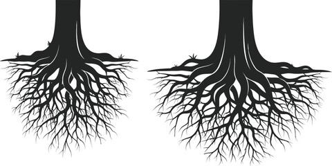 Tree roots silhouette isolated on checkered background, underground plant system spreading branches underground. © Sadhin
