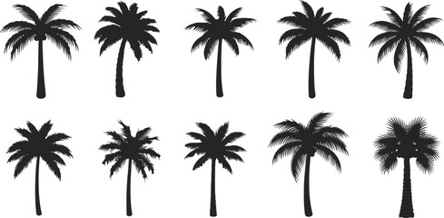 Obraz premium Group of ten palm tree silhouettes with varied shapes and styles on white background.