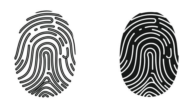 Detailed fingerprint patterns comparison illustration