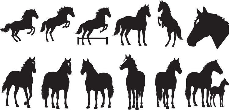 Horse silhouettes collection showcasing various poses of wild animals including running jumping rearing and portraits of stallions.