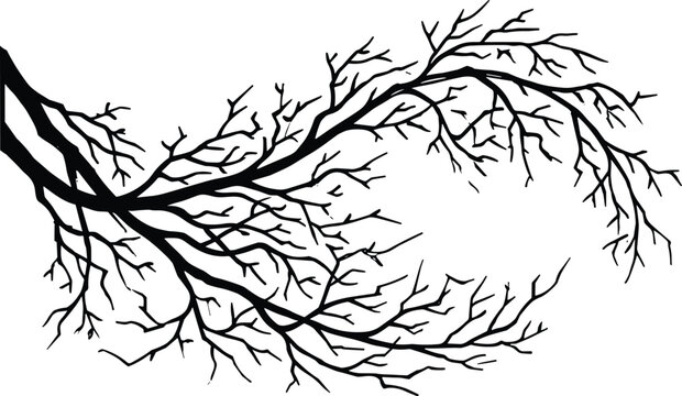 Detailed tree branch silhouette vector illustration bare leafless branches isolated black botanical element for nature design
