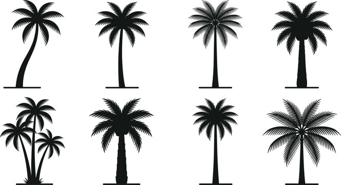 Palm tree silhouettes vector set tropical beach trees collection isolated black icons for summer travel and nature design