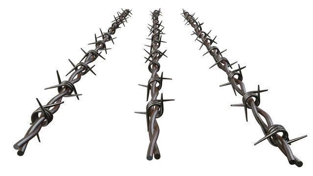 Barbed Wire Barrier: A close-up shot of three parallel rows of intimidating barbed wire, illustrating a sense of confinement, protection, and security.