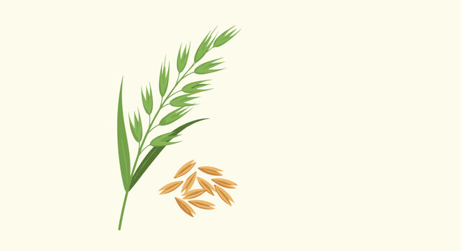 Illustration of a green oat stalk with grains and some loose seeds on a light cream colored background for cereal products.