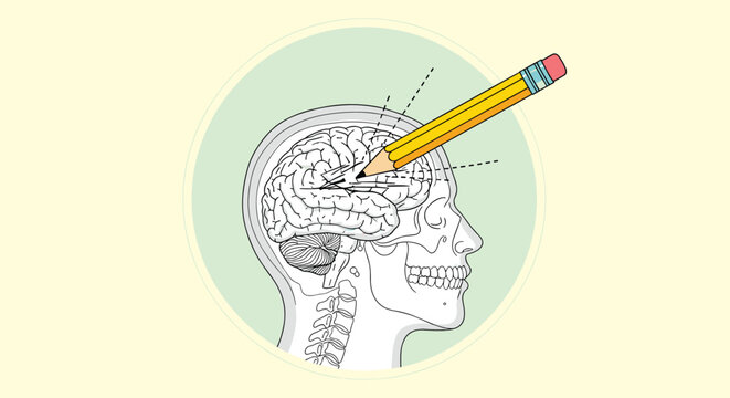 Illustration of a human head profile with a visible anatomical brain and a pencil pointing to the temporal lobe area.