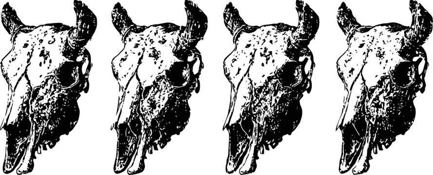 Vintage buffalo skull illustrations in black and white four detailed hand drawn bison heads