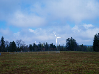 Fototapeta premium Wind turbines on a grassy field under a cloudy sky with trees in the background, showcasing renewable energy sources in a rural landscape setting