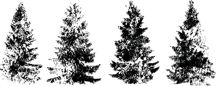 Set of four black ink splatter fir trees hand drawn brush silhouettes forest nature design elements for winter and holiday themes