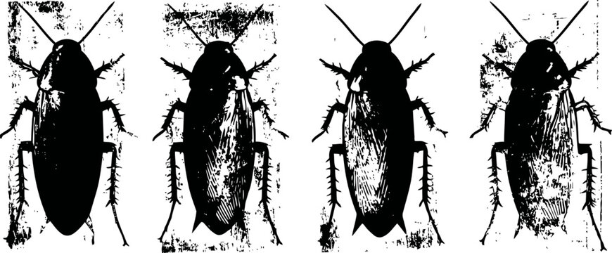 black silhouette of cockroach insect set isolated on white background insect pest vector illustration
