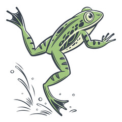 Fototapeta premium Green frog jumping with water splashes