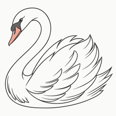 White swan with orange beak and black markings bird © Sumi