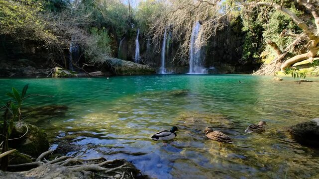 Beautiful Nature Scene Waterfall and Lake Landscape. Cinematic Waterfall Falling into Clear Lake. Tranquil Waterfall and Lake in Forest Setting.