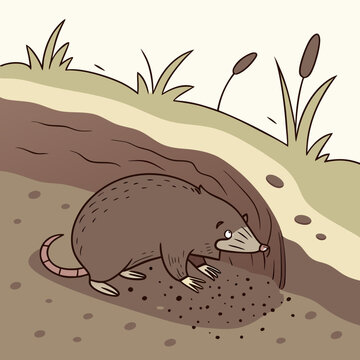 Opossum near a burrow brown gray outdoors