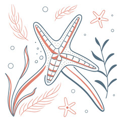 Starfish with seaweed and bubbles on white background © PixelFusion