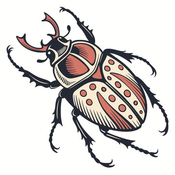 Stag beetle with red and white spots on white background black insect