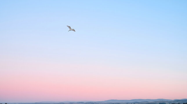 White Egret Flying Through Pastel Pink and Blue Sky at Sunset Over a Misty Landscape