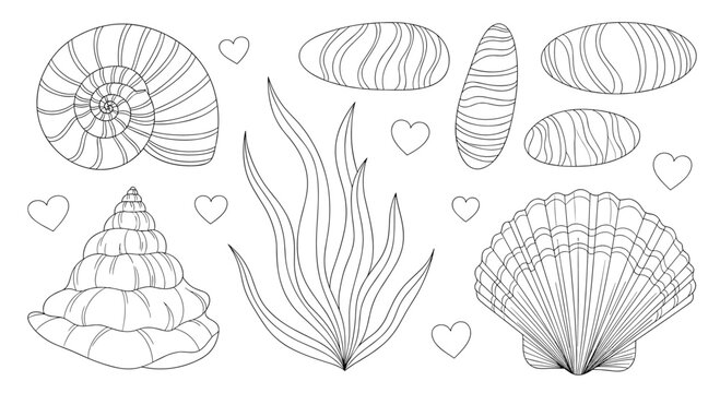 Marine themed collection featuring various shells polished stones aquatic plants and small hearts for ocean designs.