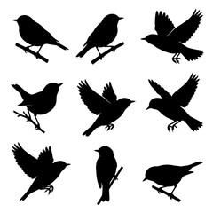 Obraz premium black and white silhouette vector set of Blackpoll Warbler.