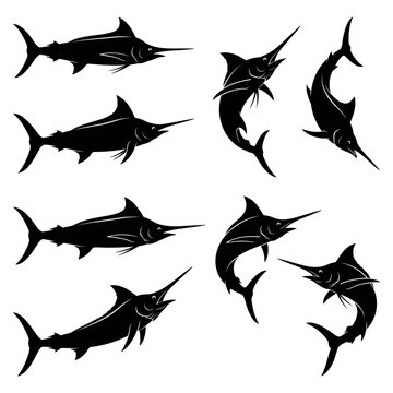 black and white silhouette vector set of Black Marlin
