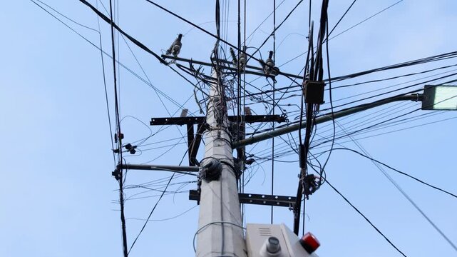 Poste de luz con cables enredados en barrio latinoamericano y ave pos&aacute;ndose - 4K