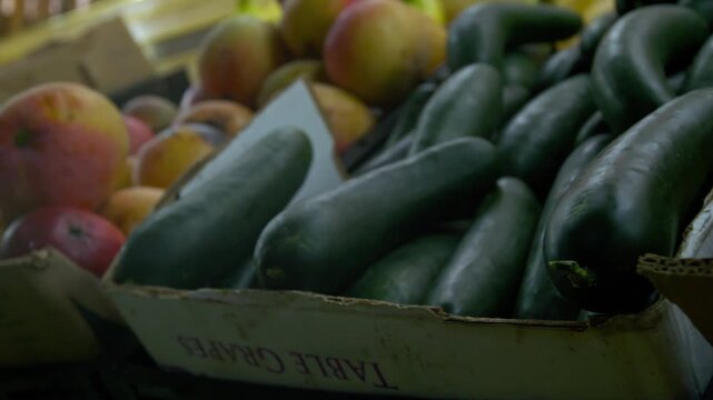 Pepinos verdes frescos en caja de cart&oacute;n en mercado local con mangos - 4K