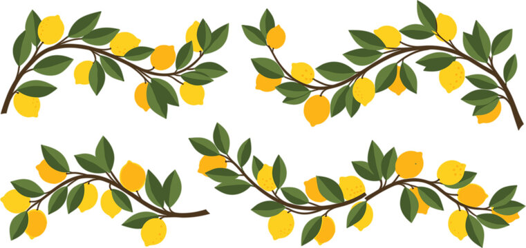 Lemon Branch Borders Vector Set Featuring Citrus Fruit Garlands with Leaves, Decorative Horizontal Branch Designs in Flat Style