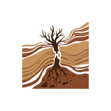 Vertical Root Penetration Strata