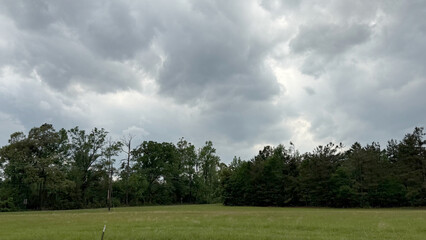 Fototapeta premium A field and trees on a cloudy spring day