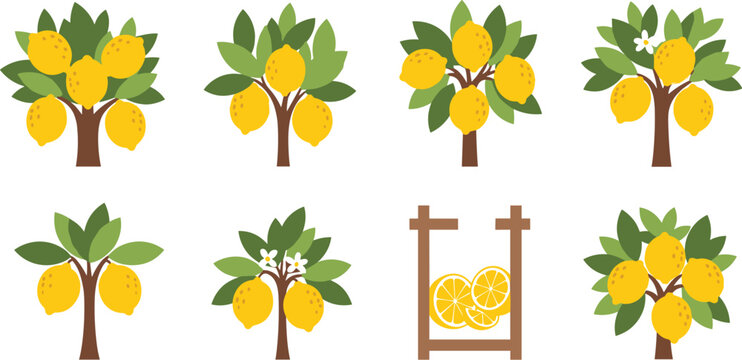 Lemon Tree Set with Citrus Fruits, Harvest Elements, and Fresh Yellow Lemons in Flat Vector Style, Organic Farming Illustration for Agriculture and Food Design