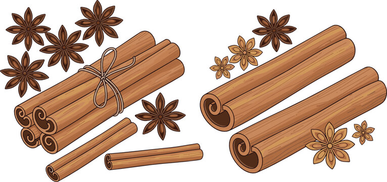 Cinnamon Sticks and Star Anise Spice Vector Set Featuring Bundled and Loose Aromatic Ingredients for Cooking, Baking, Packaging, and Natural Food Design.