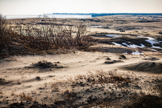 Winter landscape of sand dunes on the Curonian Spit near the frozen sea coast