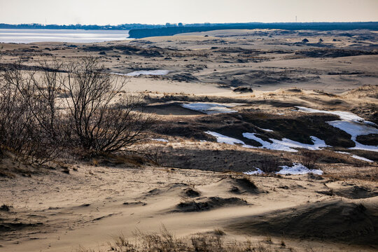 Winter landscape of sand dunes on the Curonian Spit near the frozen sea coast