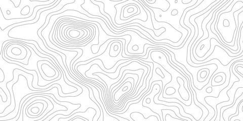 Fototapeta premium White wave paper curved reliefs abstract background, Abstract topographic contours map background, white topographic lines background contour lines wallpaper