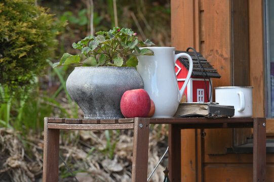 Small garden near the house during spring