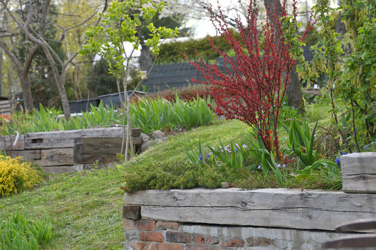 Small garden near the house during spring